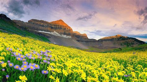 Beautiful India (Day 4) : Valley of Flowers National Park, Uttarakhand ...