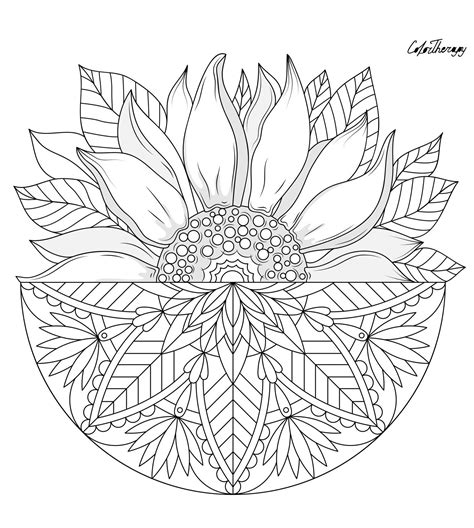 Sunflower Mandala Pages Coloring Pages