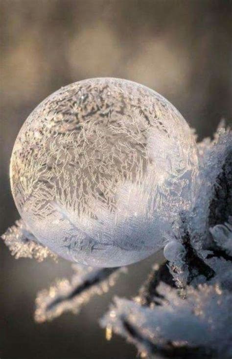 Pour Le Plaisir Des Yeux Winter Photography Nature Winter Nature