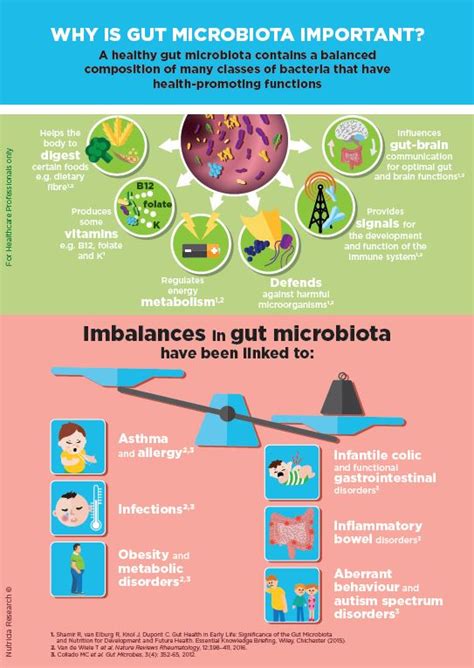 Roles Of Gut Microbiota For Health And Disease Danone Nutricia Research
