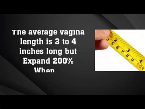 Average Vagina Length Vagina Expand 200 During Sex YouTube