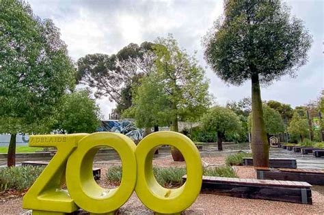 Should You Visit Adelaide Zoo