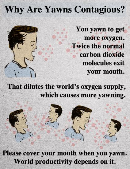 Why Is Yawning Contagious Siowfa14 Science In Our World Certainty