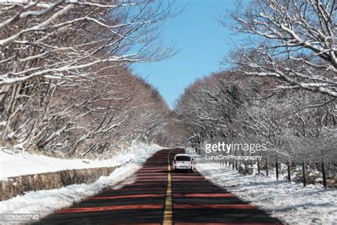 Jeju Winter Photos And Premium High Res Pictures Getty Images