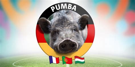 Es gibt wohl mehrere millionen bundestrainer in deutschland. EM-Orakel Pumba tippt Deutschland gegen Portugal | Dorsten