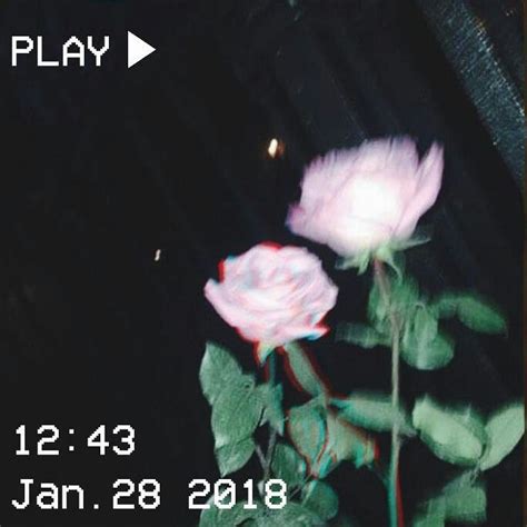 Pin By 💍🥀 On Savage Vibes Aesthetic Roses Aesthetic Grunge Pink
