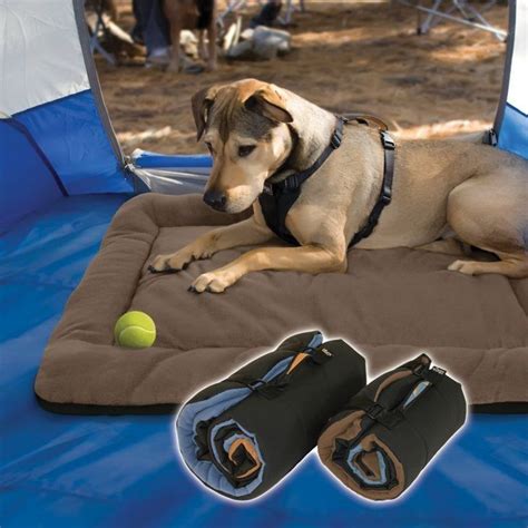 What Do You Need To Bring When Camping With A Dog Dog Camping Dog
