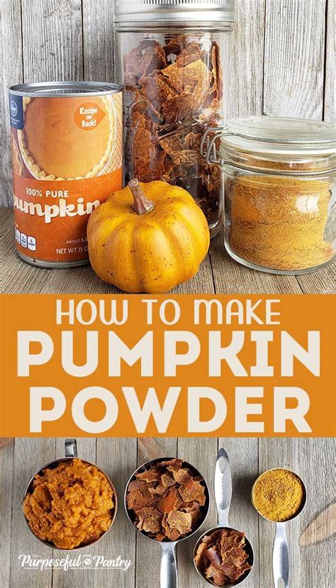 How To Make Pumpkin Powder For Baking And Smoothies Canned Pumpkin Dehydrator Recipes Dehydrator