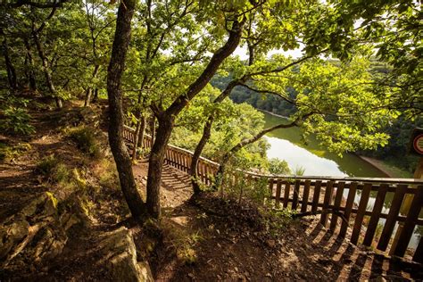 Visite Guidée De La Forêt De Mervent Triplancar