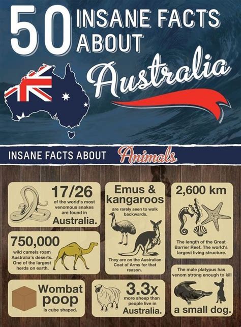 Some Facts Australia Facts Australia Facts About Australia