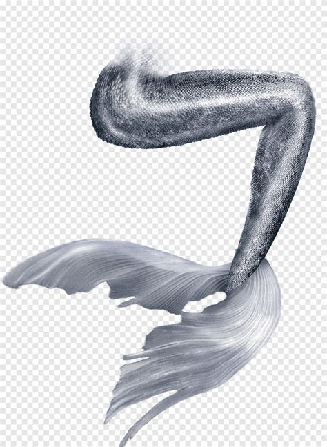Mermaid Tail Png Images PNGEgg Vlr Eng Br