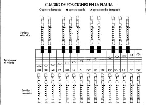 Flauta Dulce Notas Y Posiciones Dopo Le Sei Recursos Para Aprender