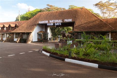 Commemorating 75 Years Of Nairobi National Park The Dawoodi Bohras