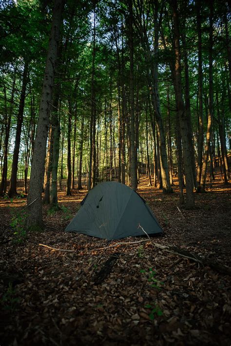 Wilderness Camping Scenic Wilderness Tent Forests Camping