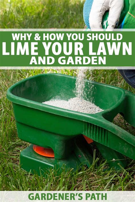 Why And How You Should Lime Your Lawn And Garden Gardeners Path