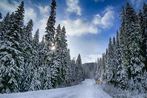 Snowy Get Away Photograph By Lynn Hopwood Fine Art America