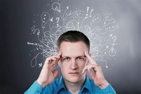 Exploring 15 of New Zealand’s Majestic Fjords – A Journey Through