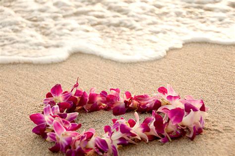 Royalty Free Hawaiian Lei Pictures Images And Stock Photos Istock