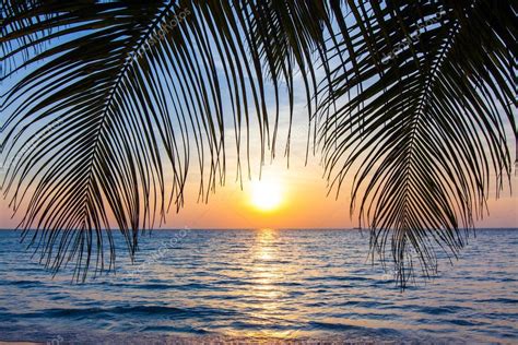 Beautiful Tropical Sunset With Palm Trees Tropical Beach Palm — Stock