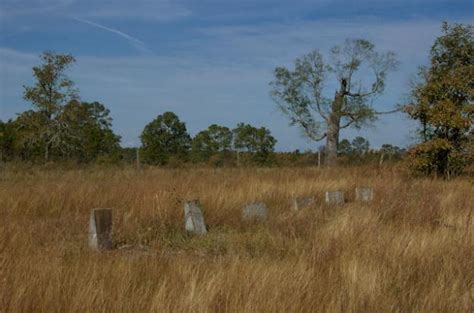Tanner Cemetery Ben Hill County Vanishing Georgia Photographs By