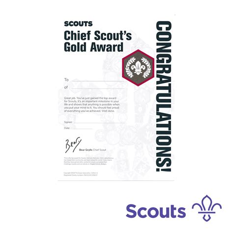 Scouts Chief Scouts Gold Award Certificates 10 Pack Project X Adventures