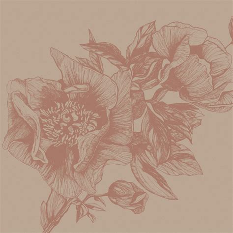 Giant Peonies By Coordonne Nude Mural Wallpaper Direct