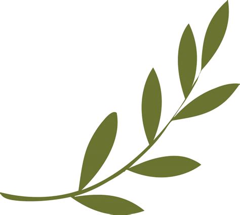 Olive Branch Peace Symbols Olive Wreath Olive Branch Clipart Full