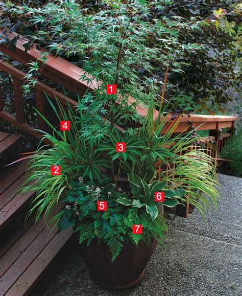 Check out our flower pots selection for the very best in unique or custom, handmade pieces from our planters & pots shops. Stylish Shady Containers - FineGardening
