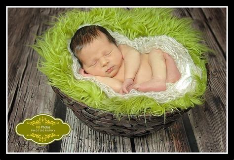 Mommys Lil Anne Geddes Baby Newborn Photoshoot Newborn Photos