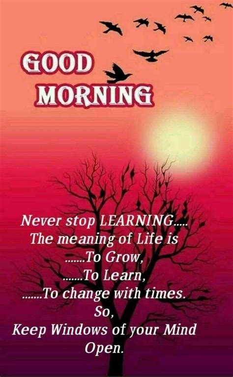 10 Best Good Morning Messages For Friends And Wishes Good Morning
