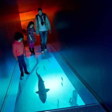 Sea Life London Aquarium Review Whats Good To Do