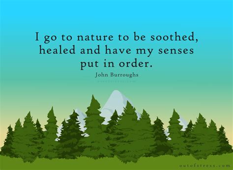 54 Profound Quotes On The Healing Power Of Nature 2022