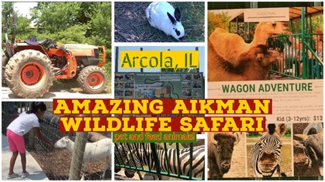 Wild Animal Safari Tour In Illinois Telugu Vlogs Usa Youtube