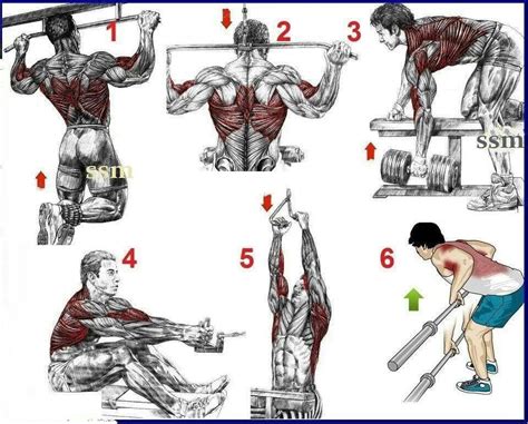 Pin By Rhoweniefel Murillo On Bodybuilding Back Workout For Mass