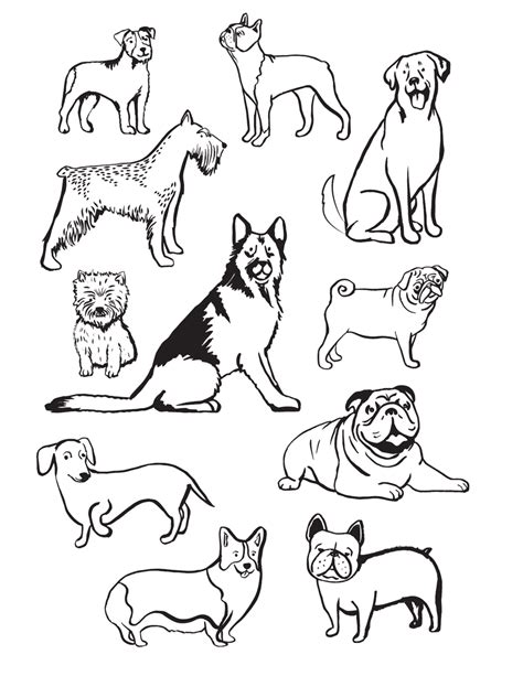 Dog Breeds Coloring Page Download Printable Pdf Templateroller