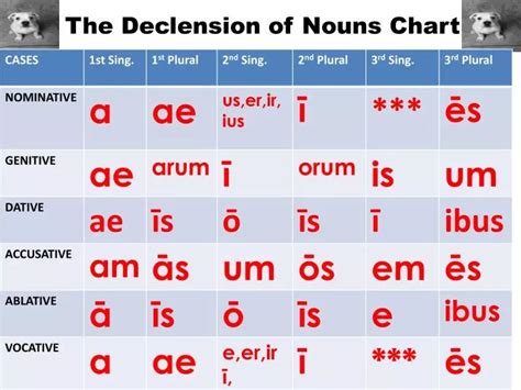 Ppt The Declension Of Nouns Chart Powerpoint Presentation Free Download Id 5367930