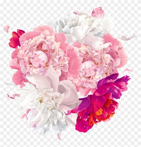 Top Peonies Stock Vectors Illustrations And Clip Art Clipart Library