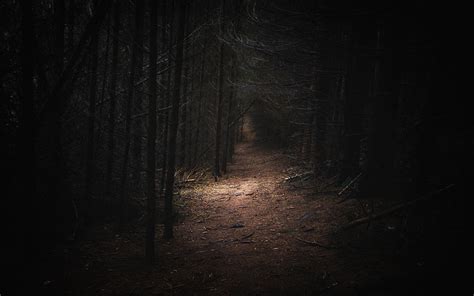 Nature Landscape Dark Forest Germany Path Daylight