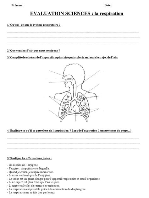 The network of teaching excellence in computer science and master teachers. evaluation science CM1