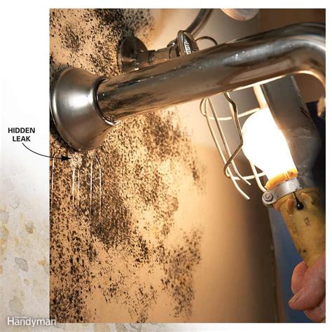 If you cover up a water stain without addressing the leak that caused it, you run the risk of additional staining on the ceiling, not to mention more serious structural or electrical damage. 10 Tips For Removing Mold and Mildew | The Family Handyman