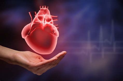 你的心脏健康吗？如果有这3种特点，说明你更易长寿！心脏病心脏健康新浪网