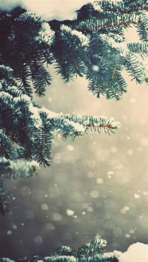 Looking for a winter wallpaper to spice up your iphone? Wallpaper iPhone/winter ⚪️ | Wallpaper iphone christmas ...
