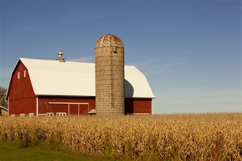 Why Are Barns Red Red Barns Red Barn Barn