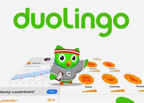 Que Es Y Como Funciona Duolingo For Schools Conoce Duolingo Para Images