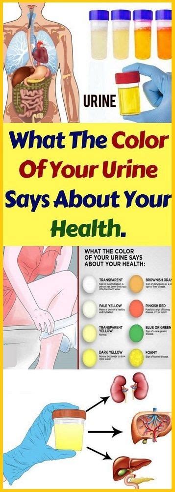 What The Color Of Your Urine Says About Your Health Be Healthy Color Of Urine Health Urinal
