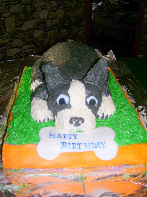 Boston Terrier Cake For Birthday Boston Terrier Cake Boston Terrier