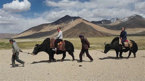 Yak Riding In The High Pamir Youtube