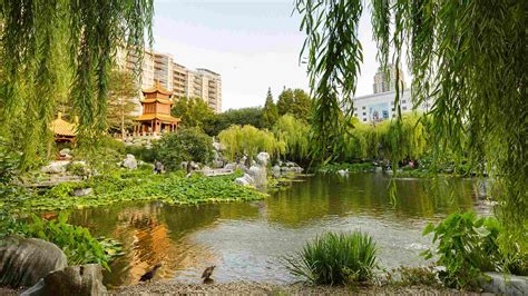 8 Best Things To Do In The Chinese Garden Of Friendship Darling