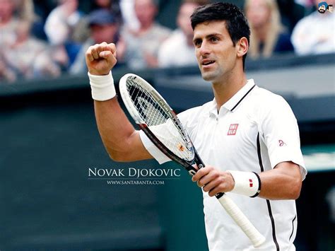 Feel free to download, share, comment and discuss every wallpaper you like. Novak Djokovic Wallpapers - Wallpaper Cave