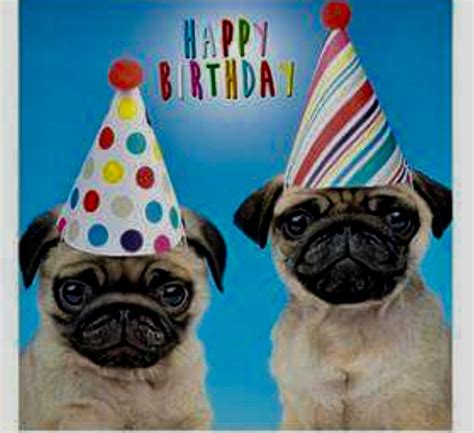 Pin By Gary And Pat Phillips On Birthday Wishes Happy Birthday Pug